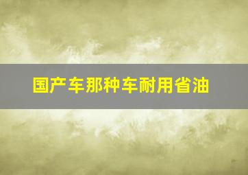 国产车那种车耐用省油