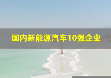 国内新能源汽车10强企业