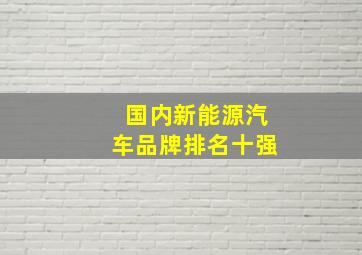 国内新能源汽车品牌排名十强