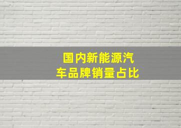 国内新能源汽车品牌销量占比