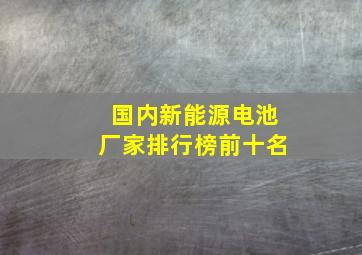 国内新能源电池厂家排行榜前十名