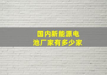 国内新能源电池厂家有多少家