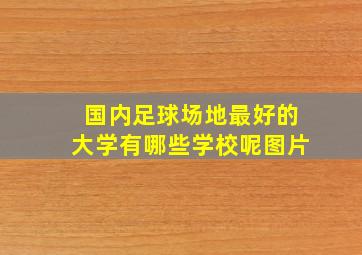 国内足球场地最好的大学有哪些学校呢图片