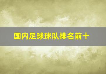 国内足球球队排名前十