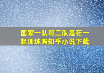 国家一队和二队是在一起训练吗知乎小说下载