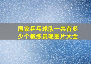 国家乒乓球队一共有多少个教练员呢图片大全