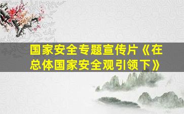 国家安全专题宣传片《在总体国家安全观引领下》