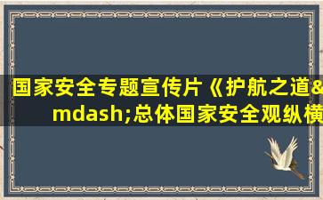 国家安全专题宣传片《护航之道—总体国家安全观纵横》