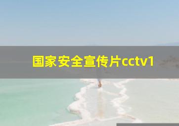 国家安全宣传片cctv1