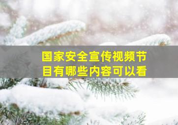 国家安全宣传视频节目有哪些内容可以看