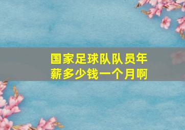 国家足球队队员年薪多少钱一个月啊