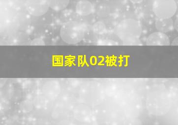 国家队02被打