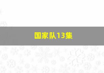 国家队13集