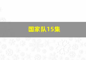 国家队15集