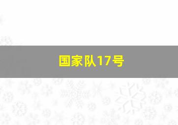 国家队17号