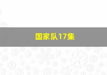 国家队17集