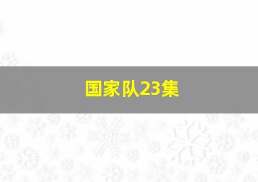 国家队23集