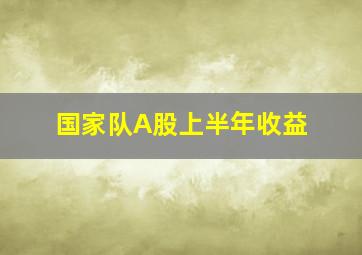 国家队A股上半年收益