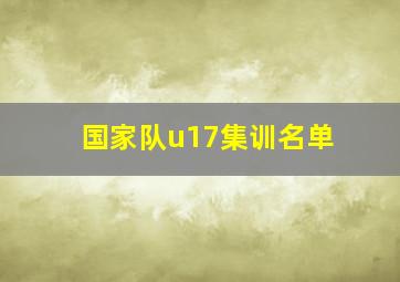 国家队u17集训名单