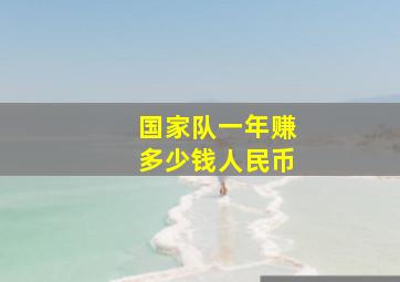 国家队一年赚多少钱人民币