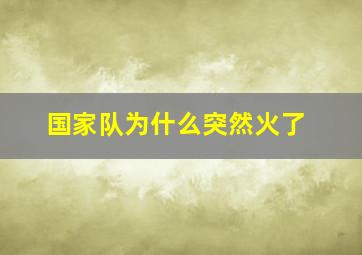 国家队为什么突然火了