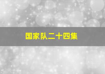 国家队二十四集