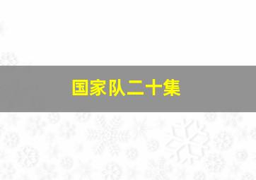 国家队二十集