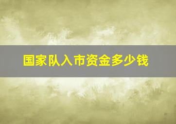 国家队入市资金多少钱