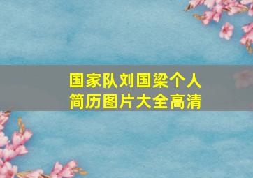 国家队刘国梁个人简历图片大全高清