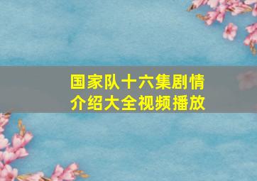 国家队十六集剧情介绍大全视频播放