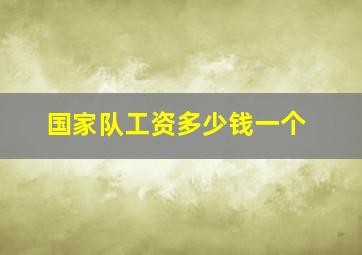 国家队工资多少钱一个