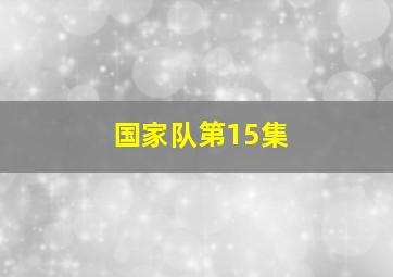 国家队第15集