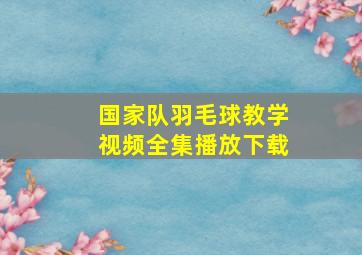 国家队羽毛球教学视频全集播放下载