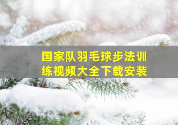 国家队羽毛球步法训练视频大全下载安装