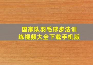 国家队羽毛球步法训练视频大全下载手机版