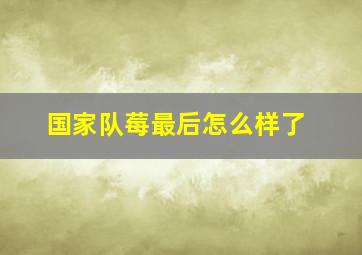 国家队莓最后怎么样了