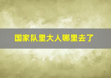 国家队里大人哪里去了