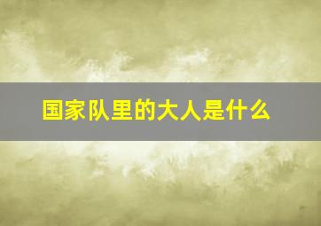 国家队里的大人是什么