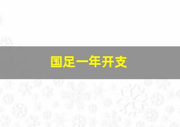 国足一年开支