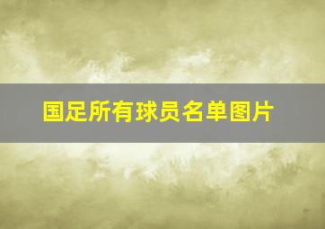 国足所有球员名单图片