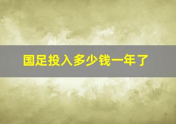 国足投入多少钱一年了