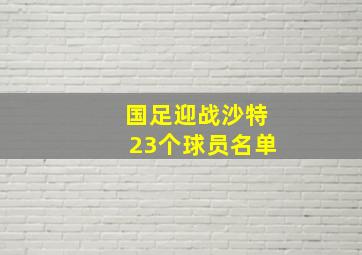 国足迎战沙特23个球员名单