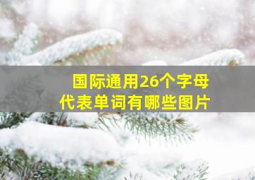 国际通用26个字母代表单词有哪些图片