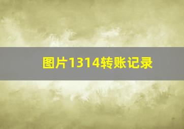 图片1314转账记录