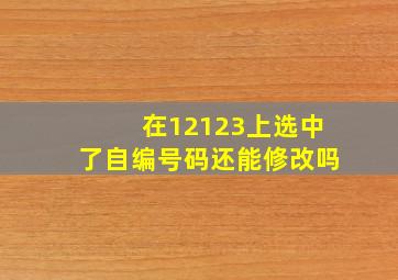 在12123上选中了自编号码还能修改吗