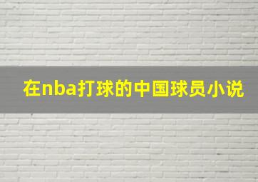 在nba打球的中国球员小说