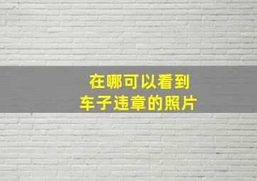 在哪可以看到车子违章的照片