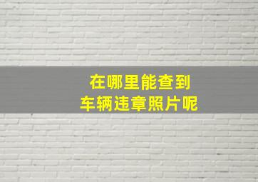 在哪里能查到车辆违章照片呢