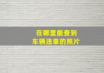 在哪里能查到车辆违章的照片