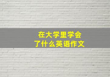 在大学里学会了什么英语作文